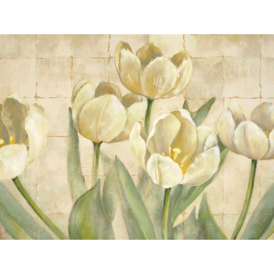 White Tulips on Ivory Poster Print by Lauren Mckee-VARPDXLMK6067 Image 1