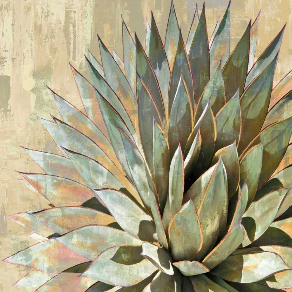 Succulent I Poster Print by Lindsay Benson-VARPDXLN114176 Image 1