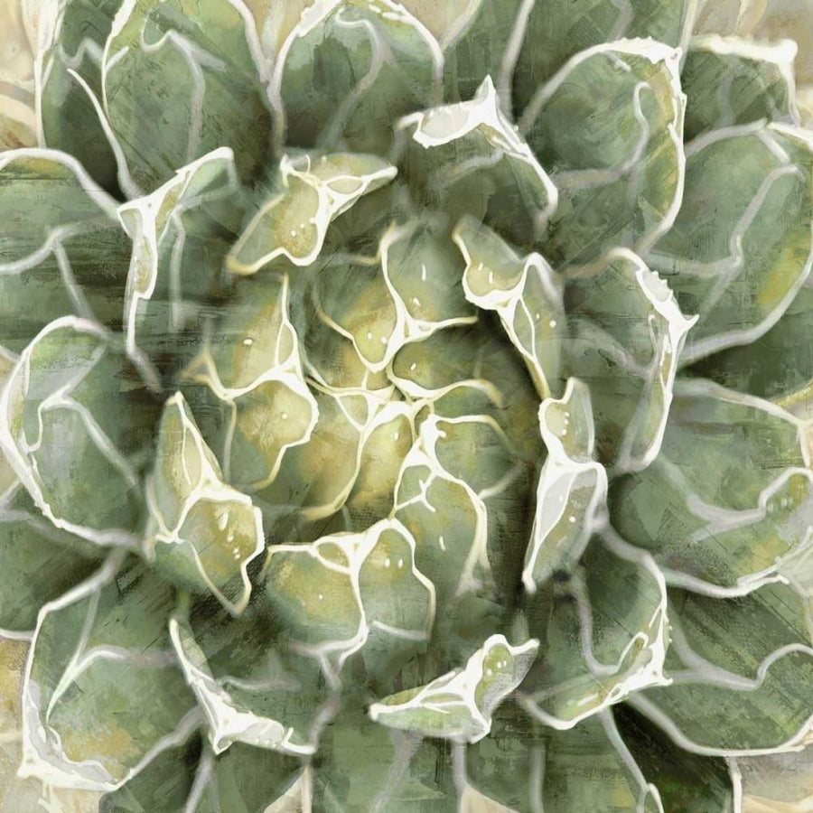 Succulent Verde III Poster Print by Lindsay Benson-VARPDXLN114182 Image 1