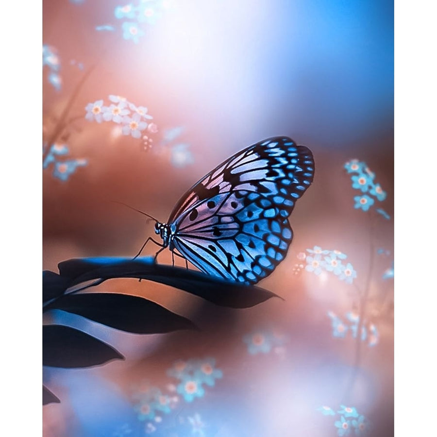 Butterfly Memory Poster Print - Grams Love-VARPDXLOVGRA267881 Image 1