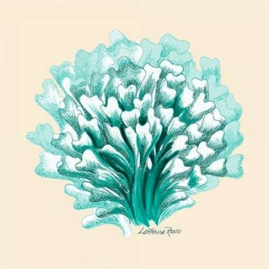 Teal Beige Coral Mate Poster Print by Lorraine Rossi-VARPDXLR5SQ004B Image 1