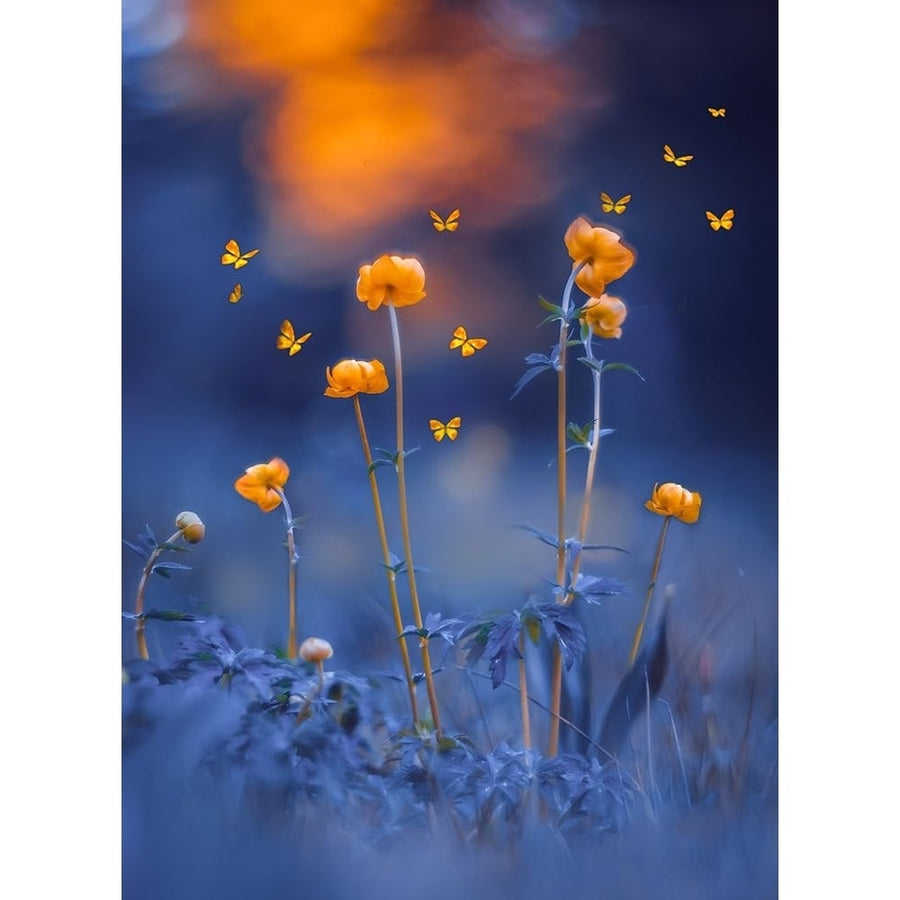 The Blue Meadow Poster Print - Grams Love-VARPDXLOVGRA267918 Image 1