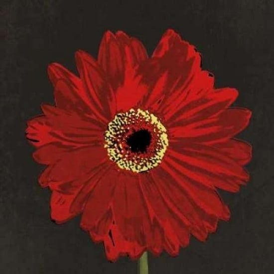 Midnight Gerbera III Poster Print by Robert Lacie-VARPDXLRP116 Image 2