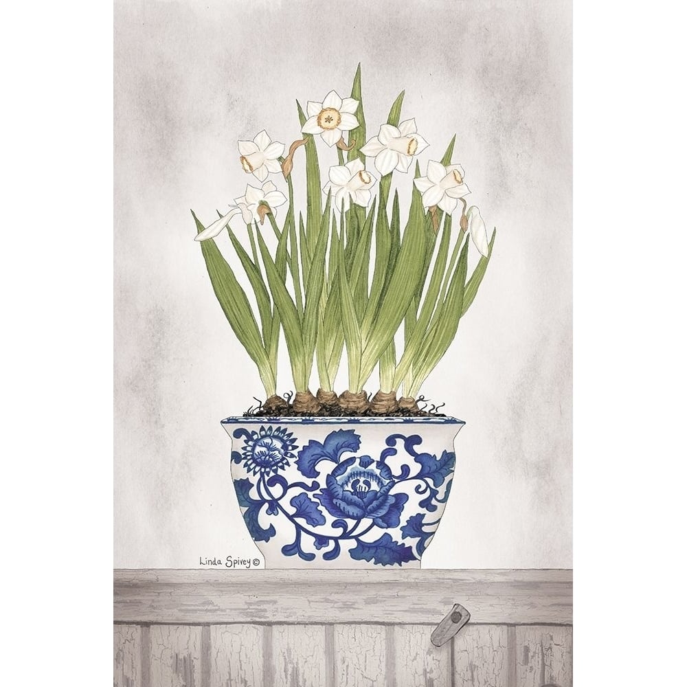 Blue and White Daffodils II Poster Print by Linda Spivey-VARPDXLS1787 Image 1