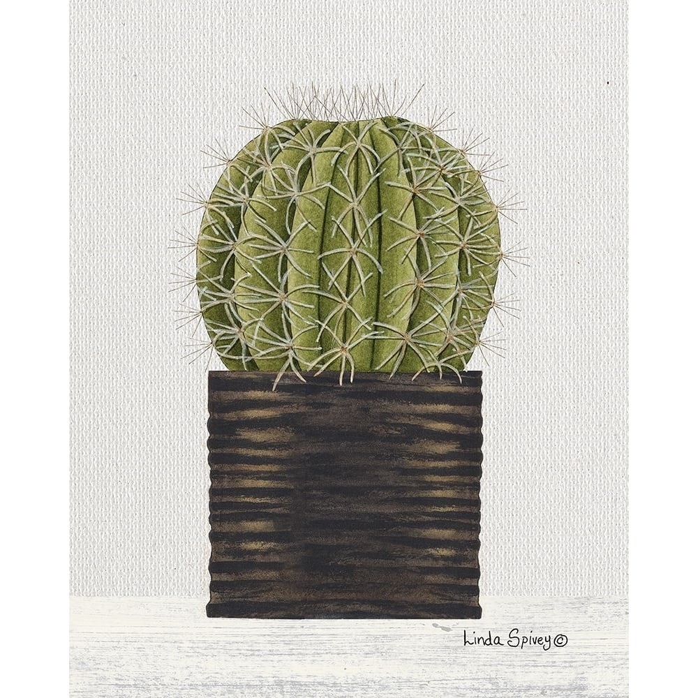 Potted Cactus by Linda Spivey-VARPDXLS1859 Image 1