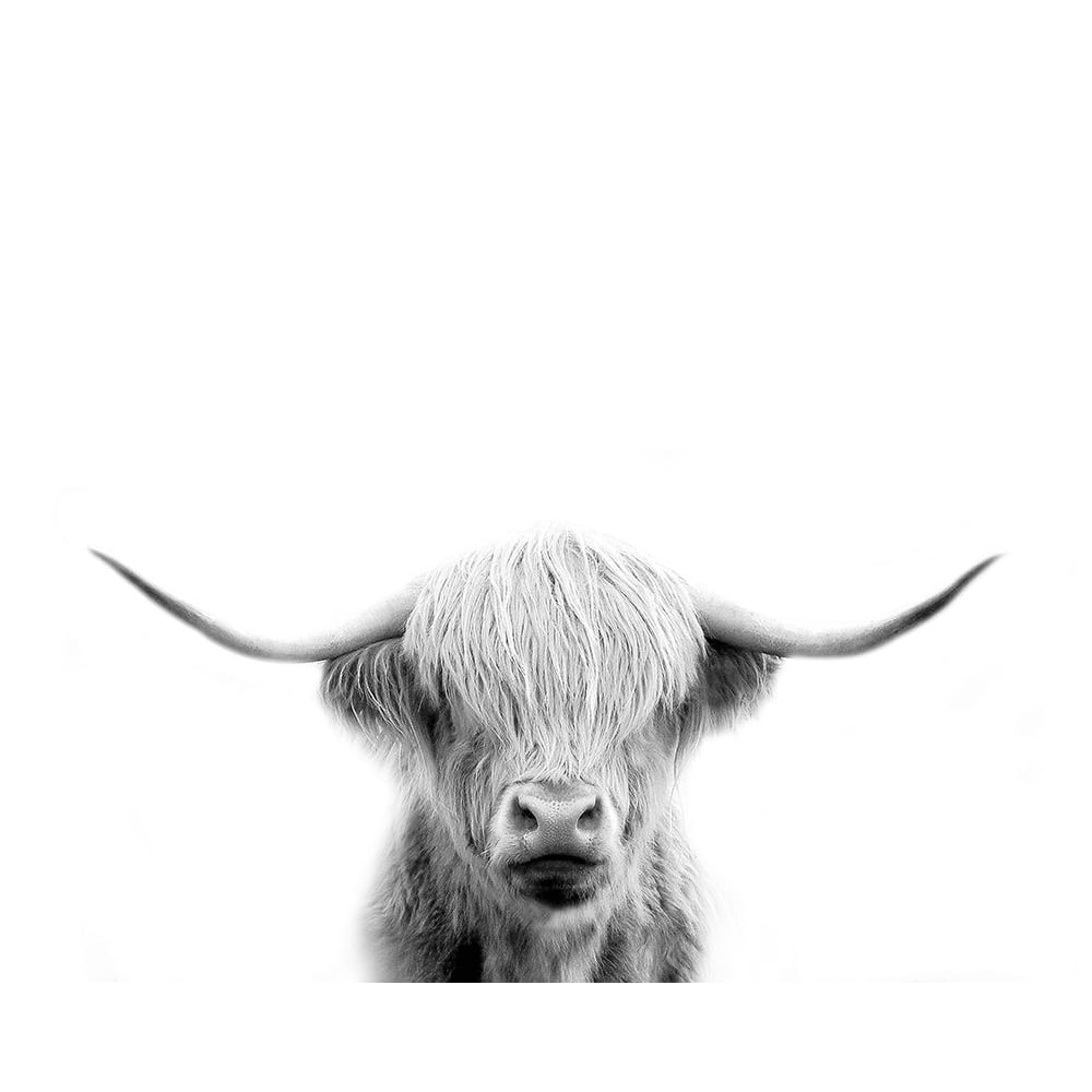 Scottish Cow Poster Print by Leah Straatsma-VARPDXLSRC008G Image 1