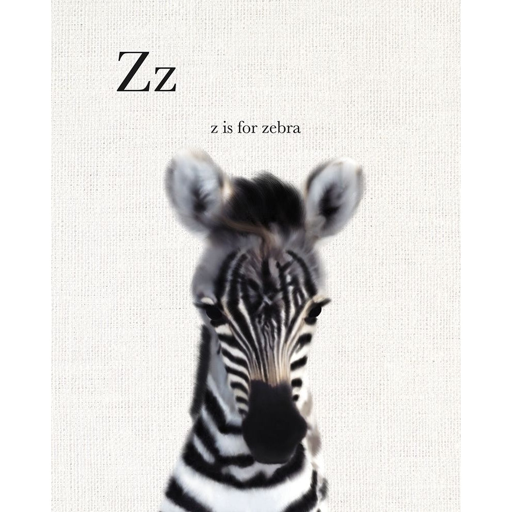 Baby Zebra Linen Poster Print by Leah Straatsma-VARPDXLSRC008F1 Image 1