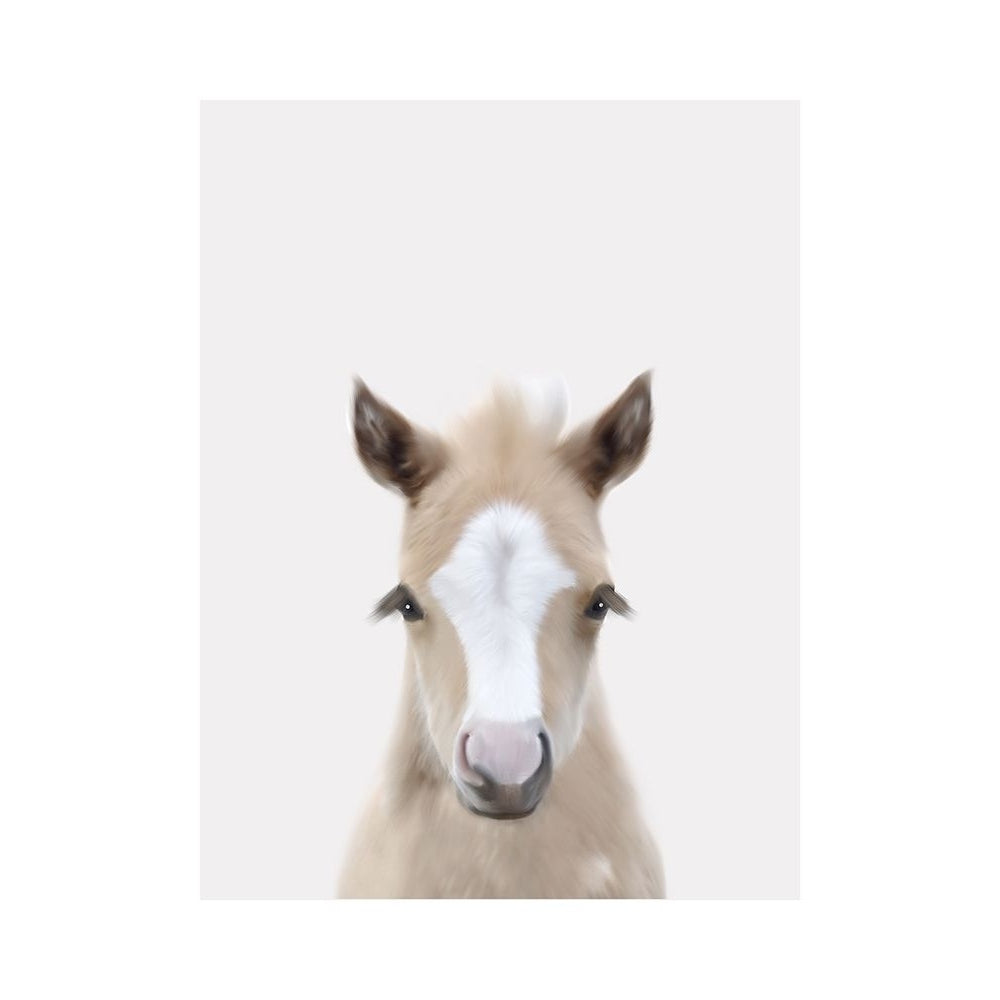 Baby Horse 1 Poster Print by Leah Straatsma-VARPDXLSRC008M Image 1