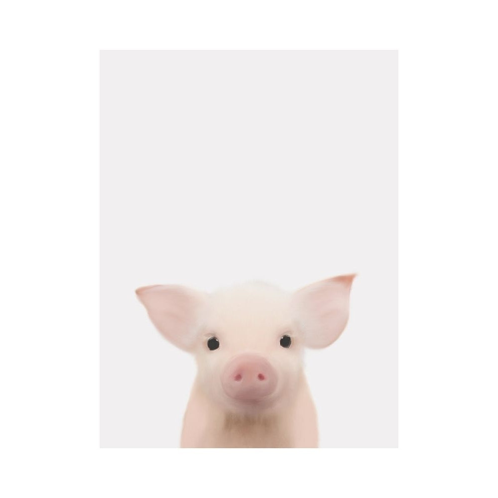 Piglet Gray Poster Print by Leah Straatsma-VARPDXLSRC008N Image 1