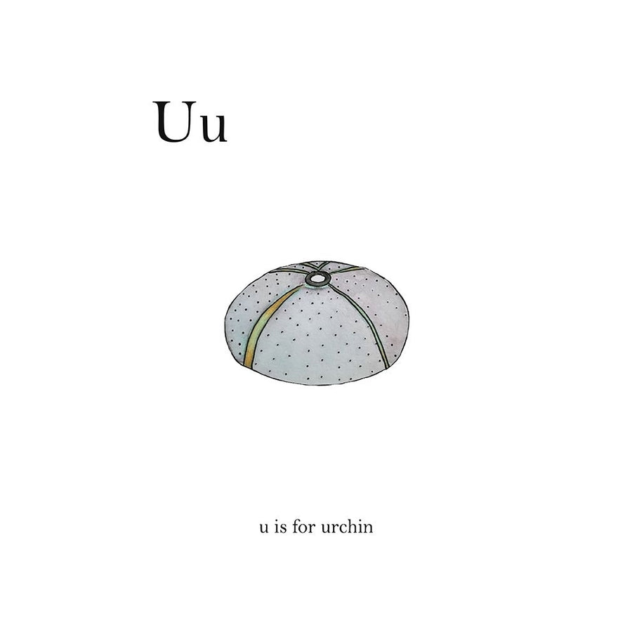 U is For Urchin Poster Print by Leah Straatsma-VARPDXLSRC010G Image 1