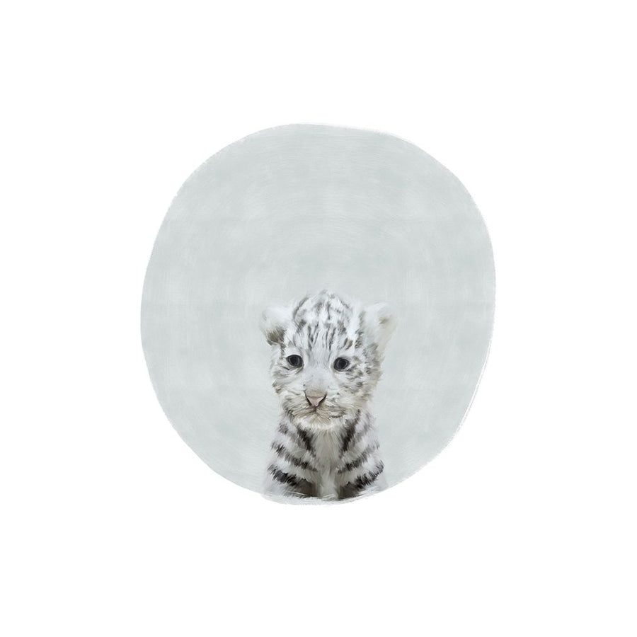 Baby White Tiger Poster Print by Leah Straatsma-VARPDXLSRC013F Image 1