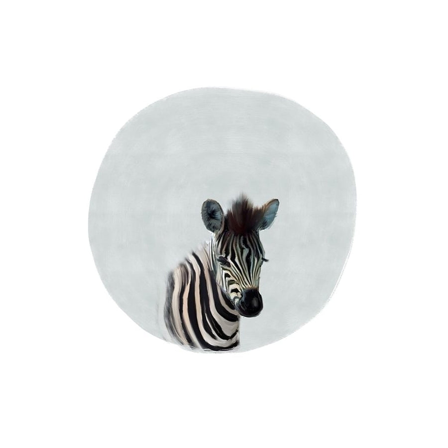 Baby Zebra Poster Print by Leah Straatsma-VARPDXLSRC013G Image 1