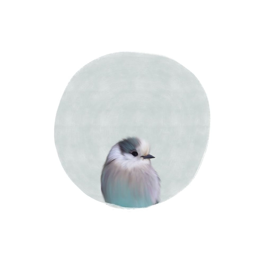 Baby Circle Bird Poster Print by Leah Straatsma-VARPDXLSRC013H Image 1