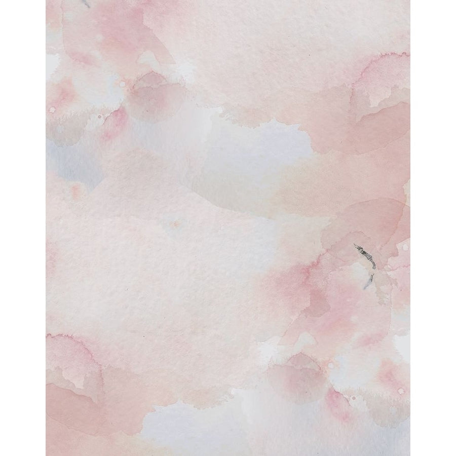 Blush Pink Print Poster Print by Leah Straatsma-VARPDXLSRC020A Image 1