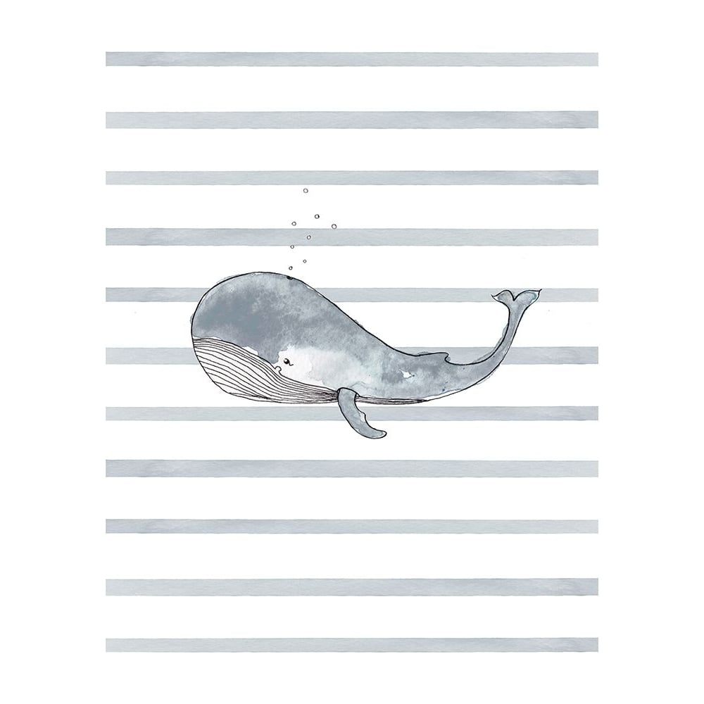 Whale Left Stripes 1 Poster Print by Leah Straatsma-VARPDXLSRC038A Image 1