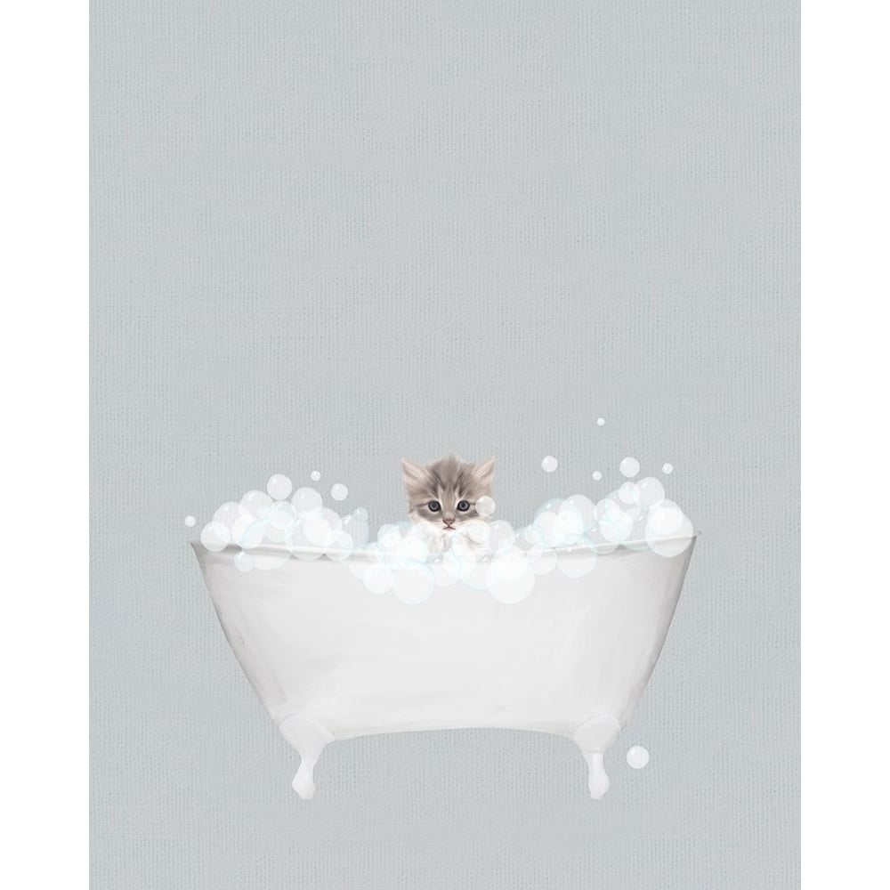 Kitten Blue Bath Poster Print by Leah Straatsma-VARPDXLSRC104D Image 1