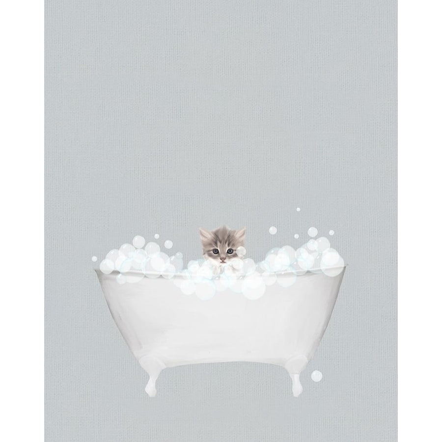 Kitten Blue Bath Poster Print by Leah Straatsma-VARPDXLSRC104D Image 1