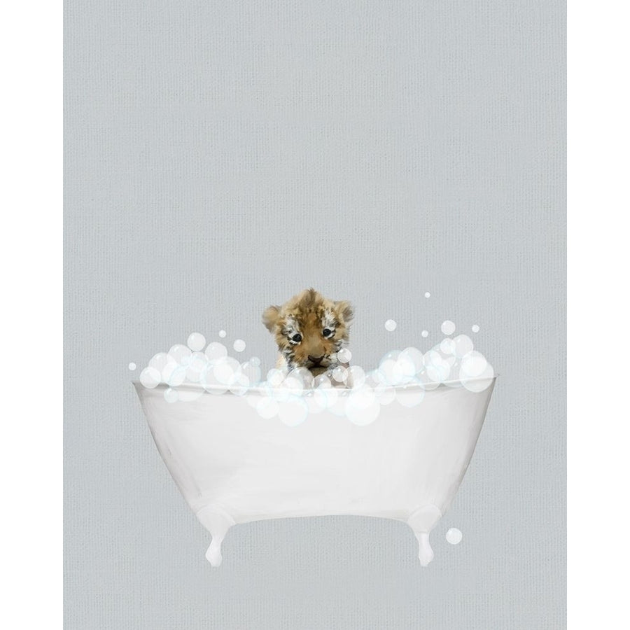 Tiger Blue Bath Poster Print by Leah Straatsma-VARPDXLSRC104G Image 1