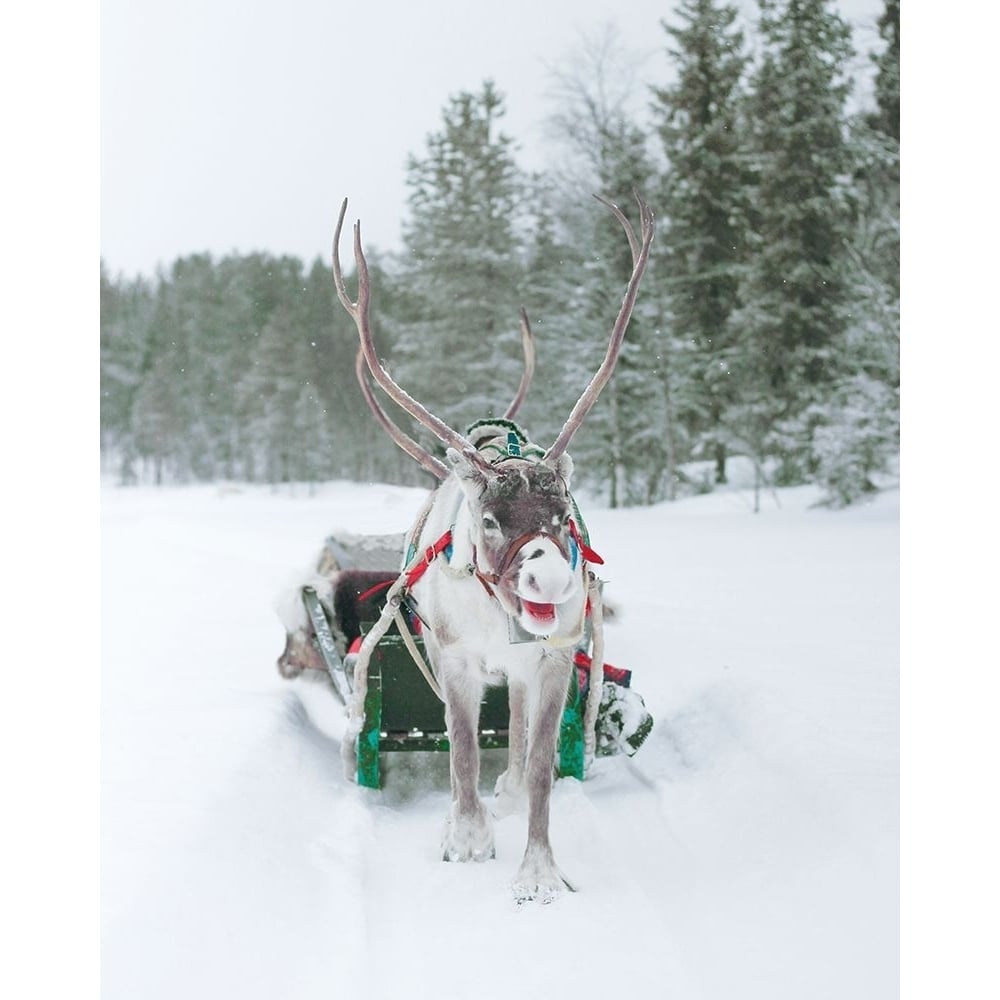 Reindeer and Sled by Leah Straatsma-VARPDXLSRC217B Image 1