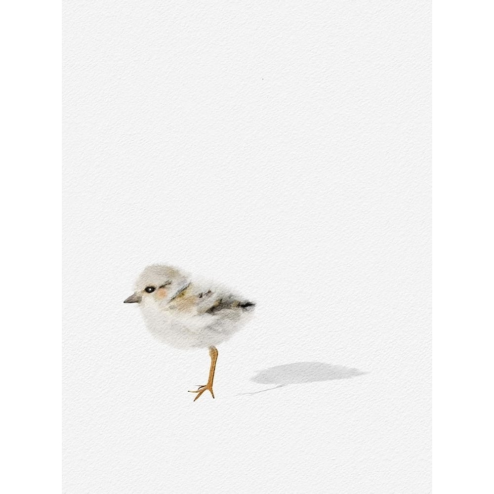 Baby Shorebird by Leah Straatsma-VARPDXLSRC304A Image 1