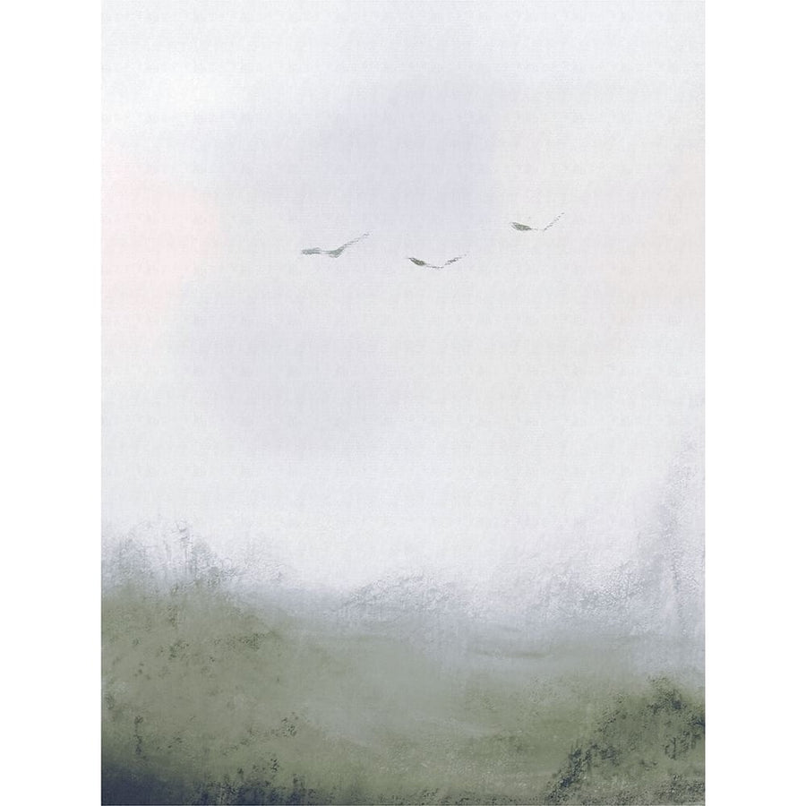 Birds Flying Over a Field 1 by Leah Straatsma-VARPDXLSRC335A Image 1