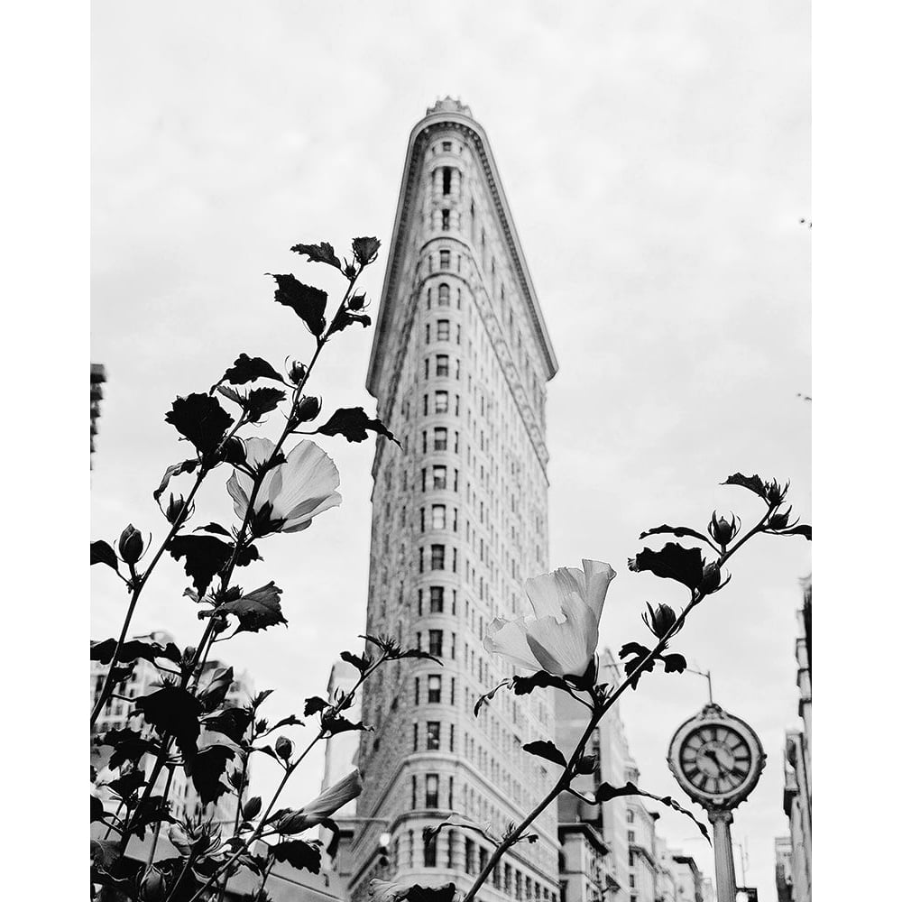 NYC Flatiron by Leah Straatsma-VARPDXLSRC351A Image 1