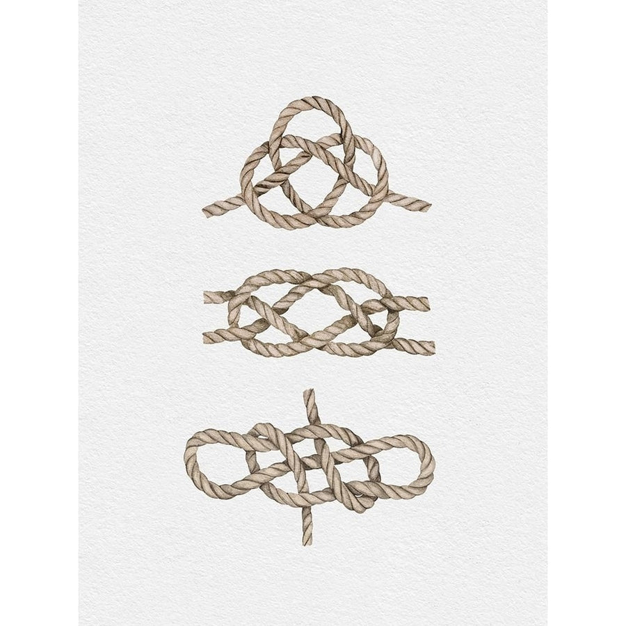 Sailor Knots by Leah Straatsma-VARPDXLSRC417D Image 1