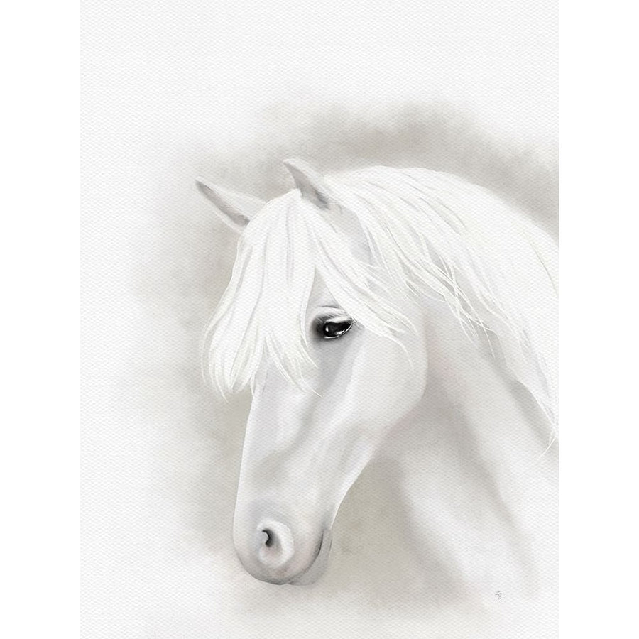 Majestic Horse Poster Print - Leah Straatsma-VARPDXLSRC624A Image 1