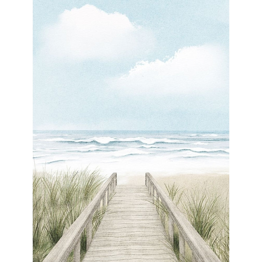 Wooden Path To The Beach Poster Print - Leah Straatsma-VARPDXLSRC656A Image 1