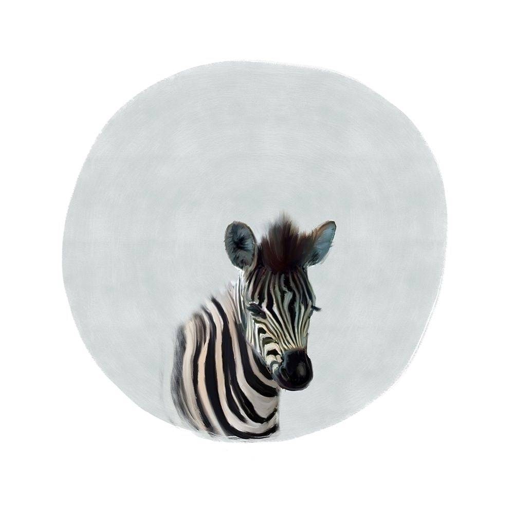 Baby Zebra Gray Poster Print by Leah Straatsma-VARPDXLSSQ001G Image 1