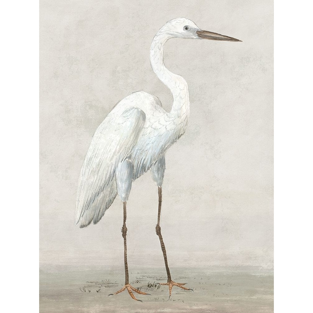 Vintage Heron I Poster Print - K Lily-VARPDXLY034A Image 1