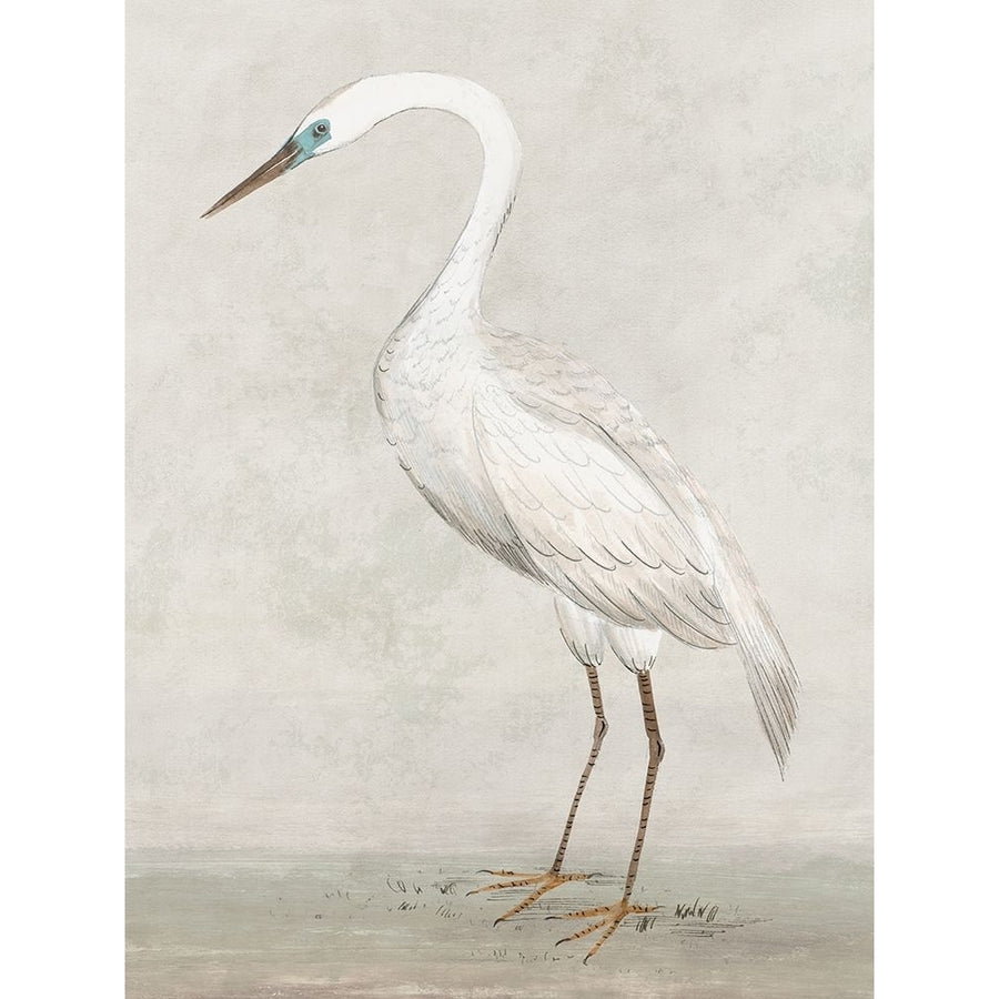 Vintage Heron II Poster Print - K Lily-VARPDXLY035A Image 1