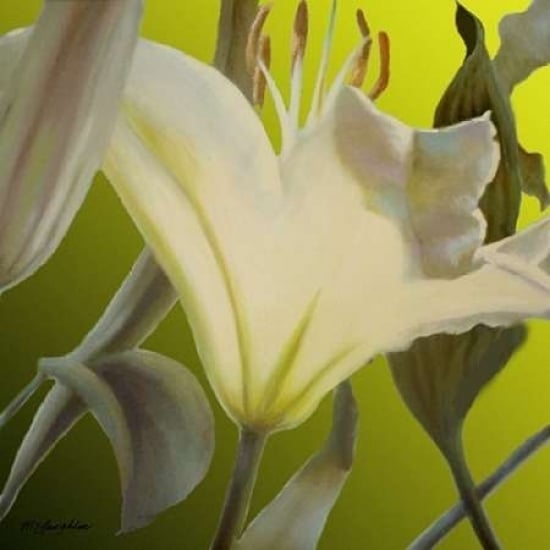 Lily Green Poster Print by Jan McLaughlin-VARPDXM1066D Image 1