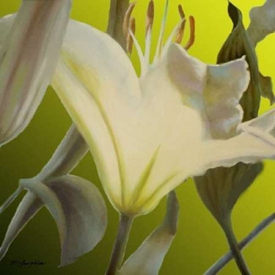 Lily Green Poster Print by Jan McLaughlin-VARPDXM1066D Image 2