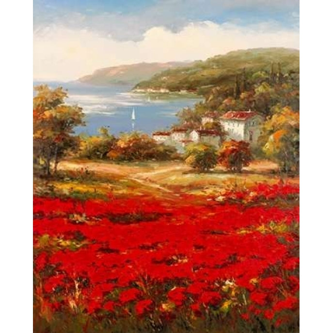 Poppy Harbor Poster Print by Marino-VARPDXM1186D Image 2