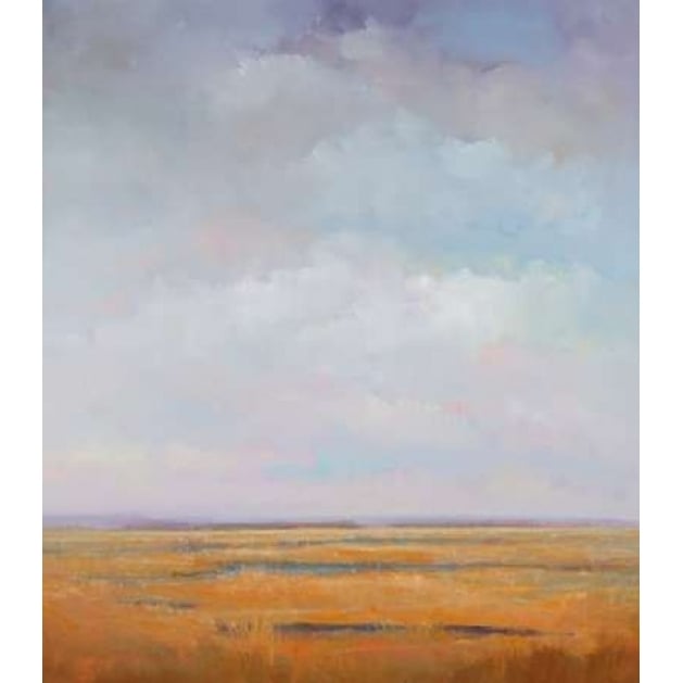 Midday Marsh Poster Print by William McCarthy-VARPDXM1367D Image 1