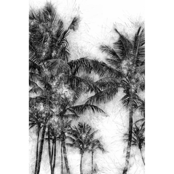 Dorado Palms 1 Poster Print by Golie Miamee-VARPDXM1496D Image 1