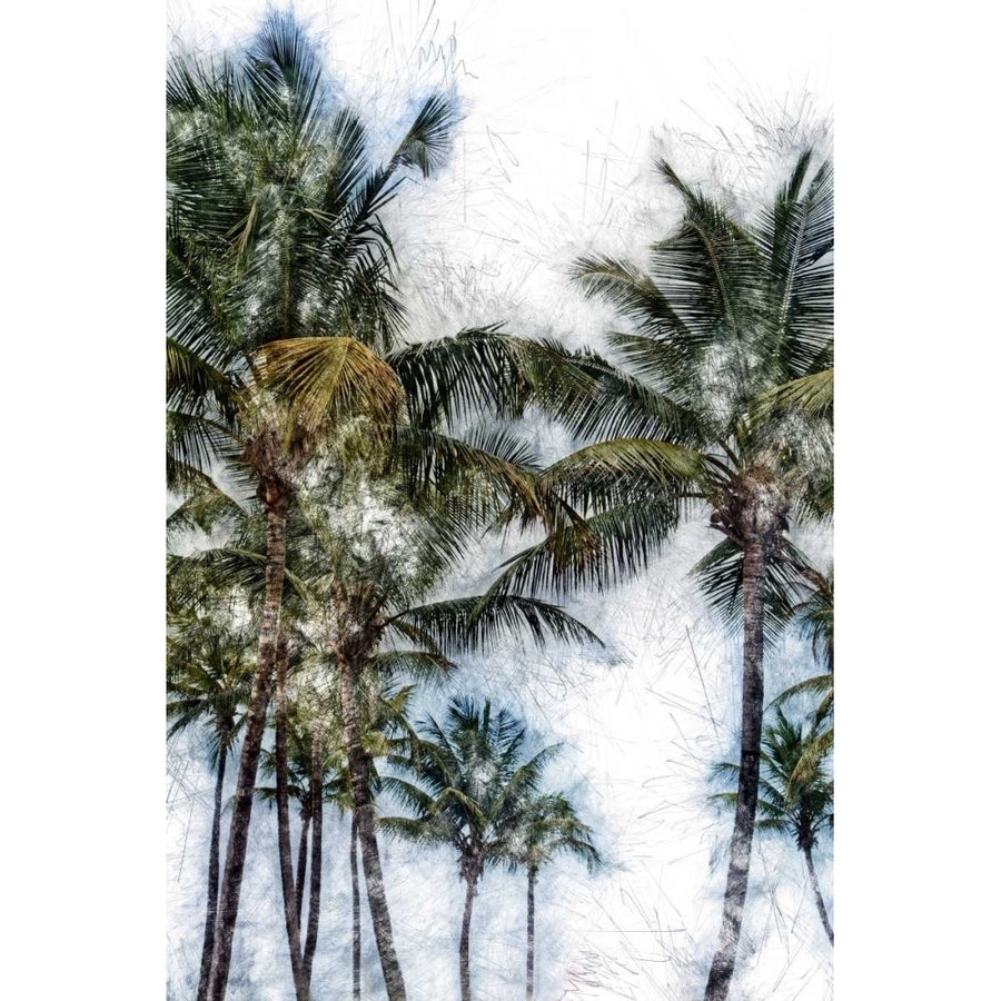 Dorado Palms 2 Poster Print by Golie Miamee-VARPDXM1497D Image 1