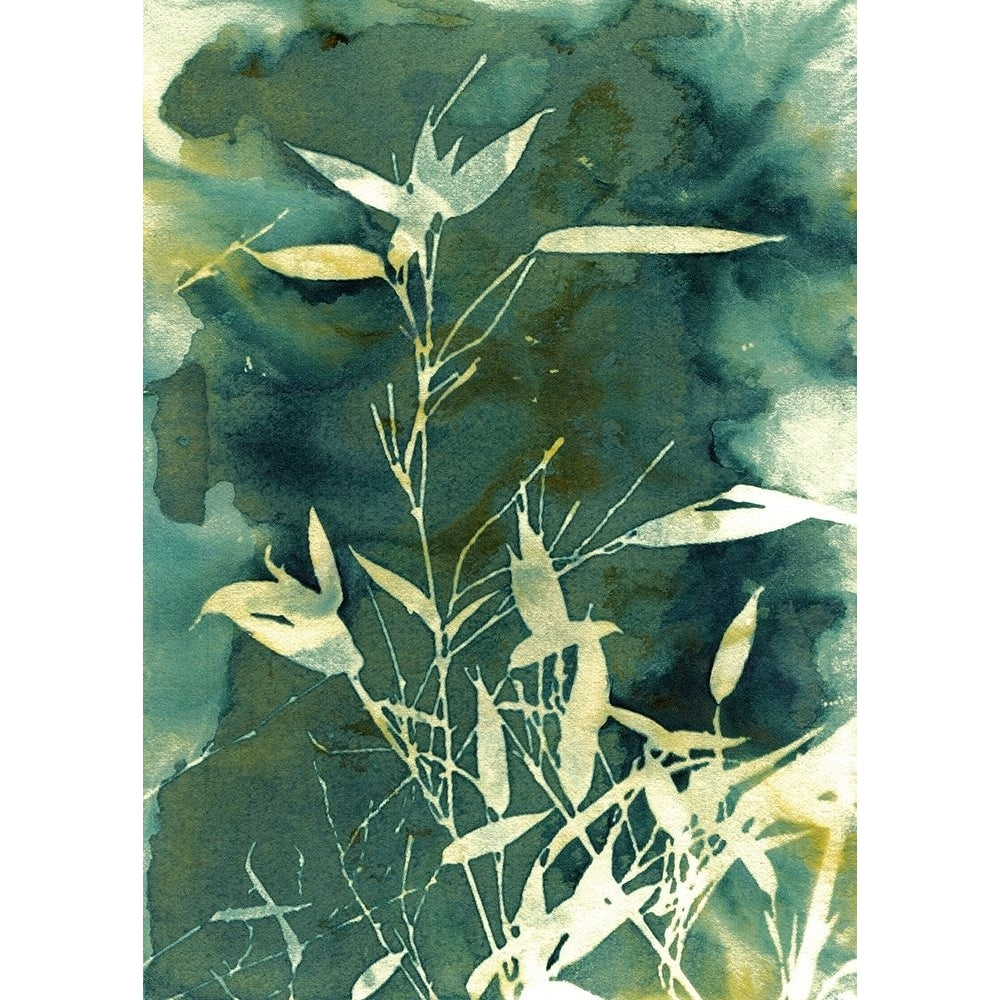 Bamboo Garden Poster Print by Krista McCurdy-VARPDXM1666D Image 1