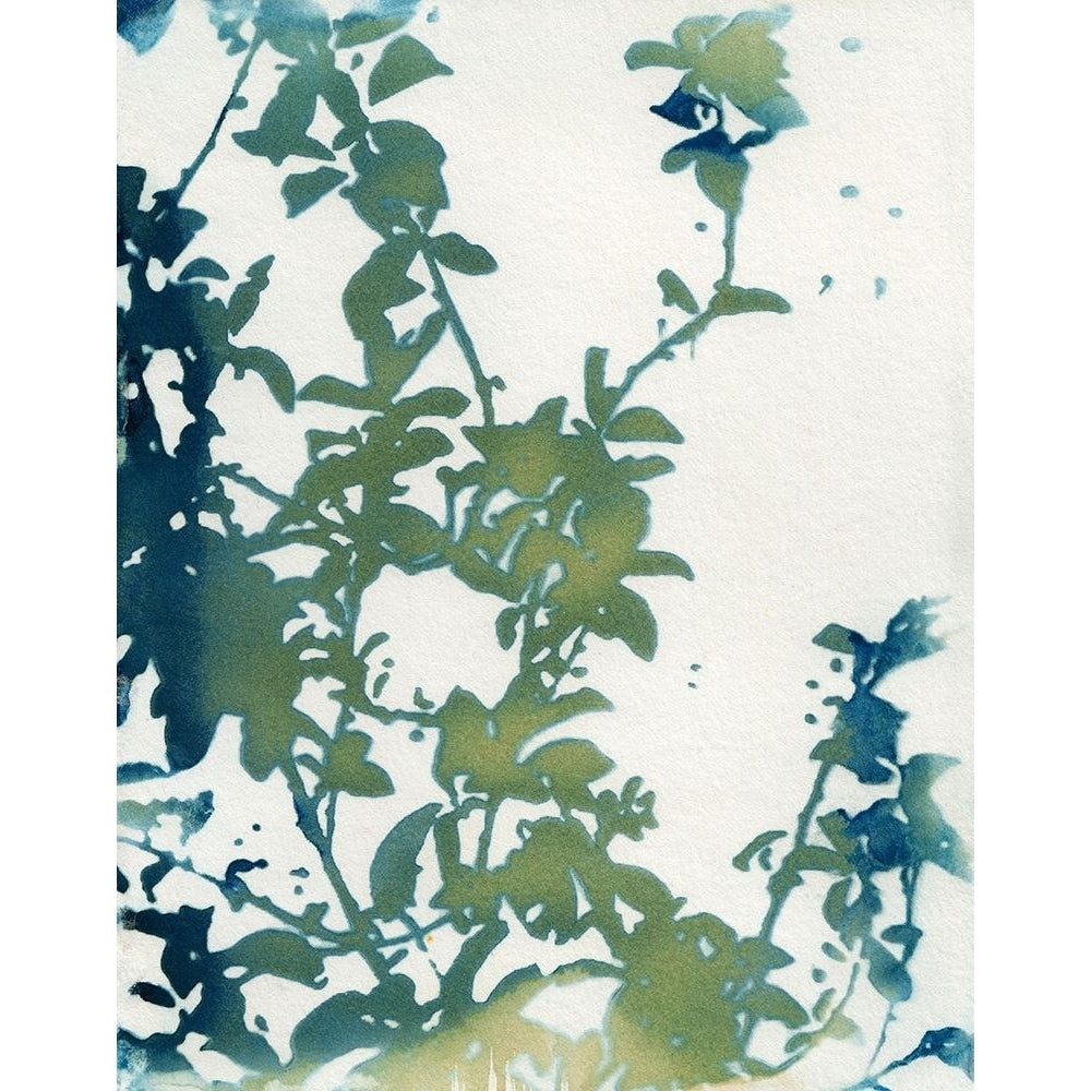 Shadow Floral Poster Print by Krista McCurdy-VARPDXM1674D Image 1