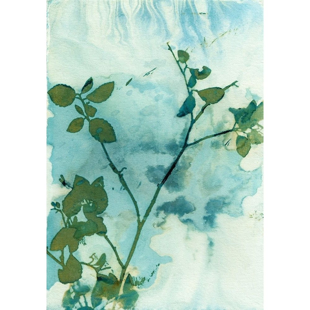 Leaves and Sky Poster Print by Krista McCurdy-VARPDXM1672D Image 1