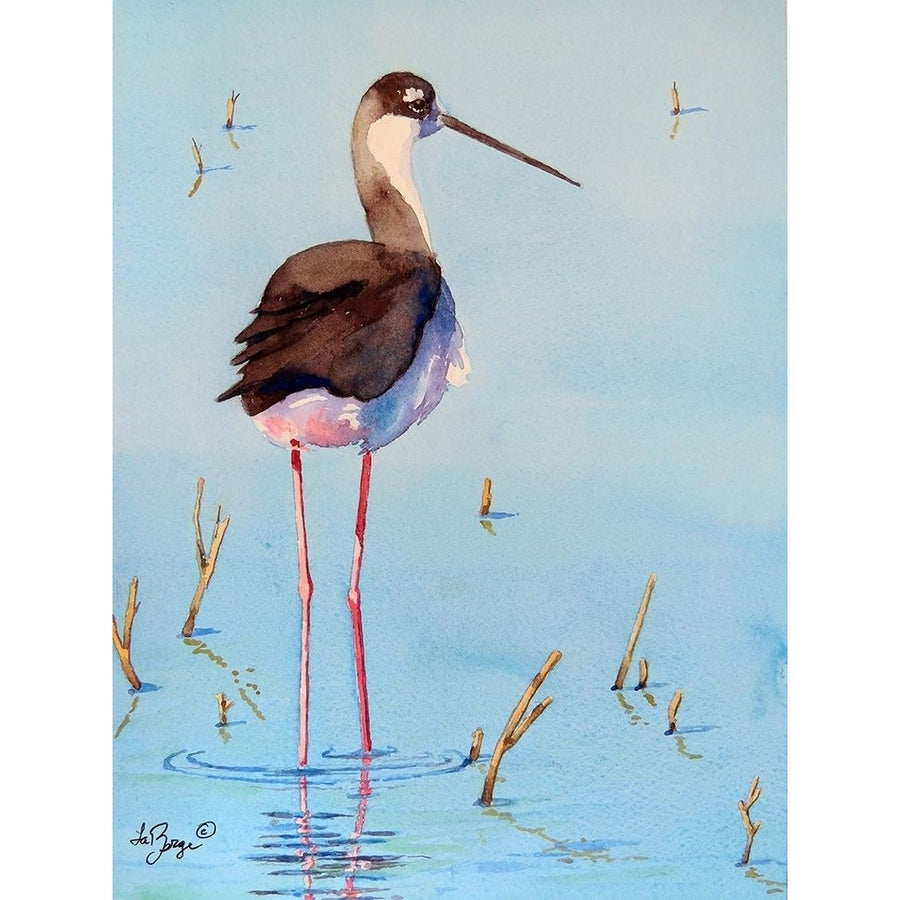 Black Neck Stilt III Poster Print by Nancy LaBerge Muren-VARPDXM1525D Image 1