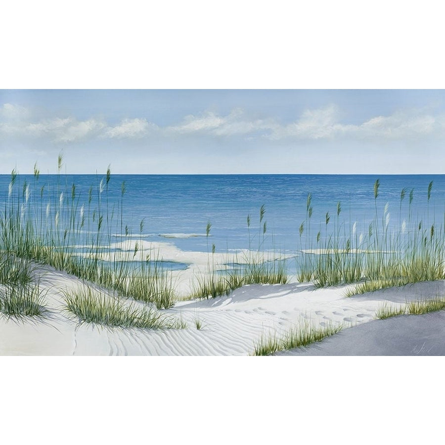 Beach Grass Poster Print - Max Maxx-VARPDXM1963D Image 1