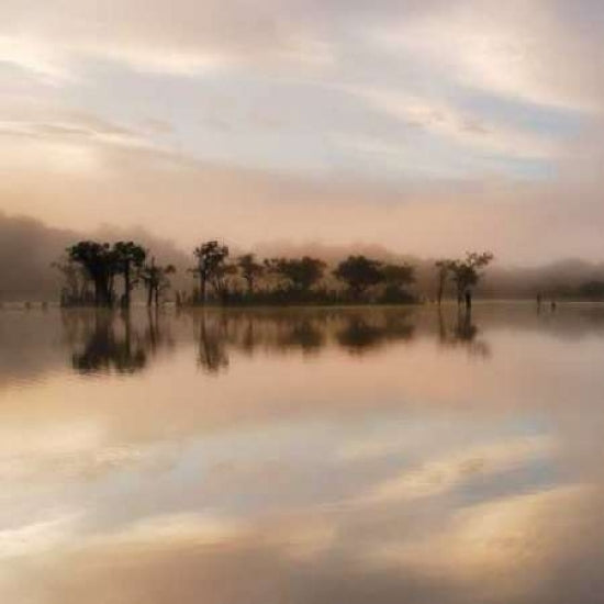 Dawn Mist on the Amazon Poster Print by Andy Mumford-VARPDXM997D Image 1