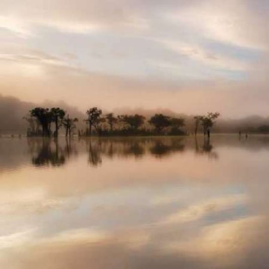 Dawn Mist on the Amazon Poster Print by Andy Mumford-VARPDXM997D Image 1