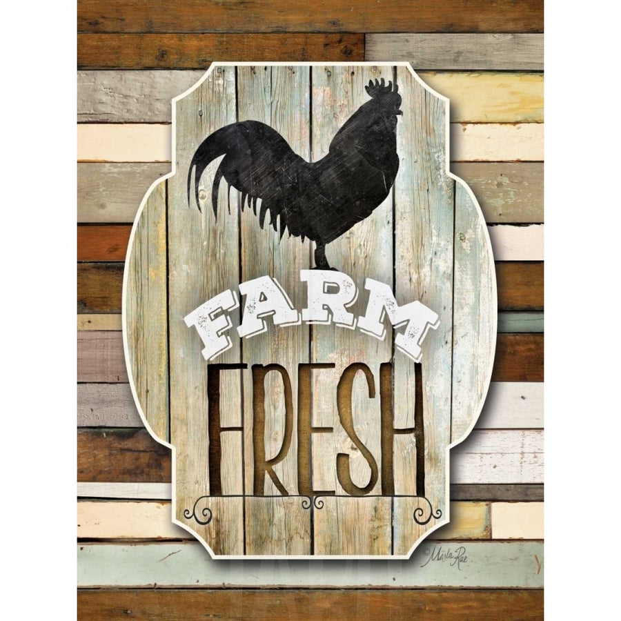 Farm Fresh Poster Print by Marla Rae-VARPDXMA2137 Image 1