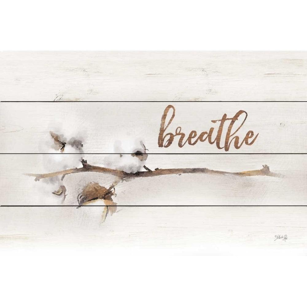 Cotton Stems - Breathe Poster Print by Marla Rae-VARPDXMA2448 Image 1