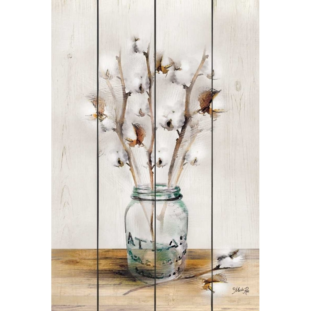 Cotton Stems Poster Print by Marla Rae-VARPDXMA2446 Image 1