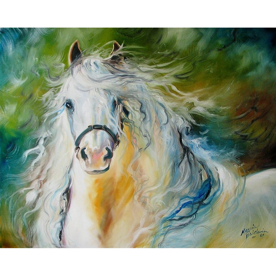 White Cloud The Andlusian Stallion Poster Print - Marcia Baldwin-VARPDXMARCBA225361 Image 1