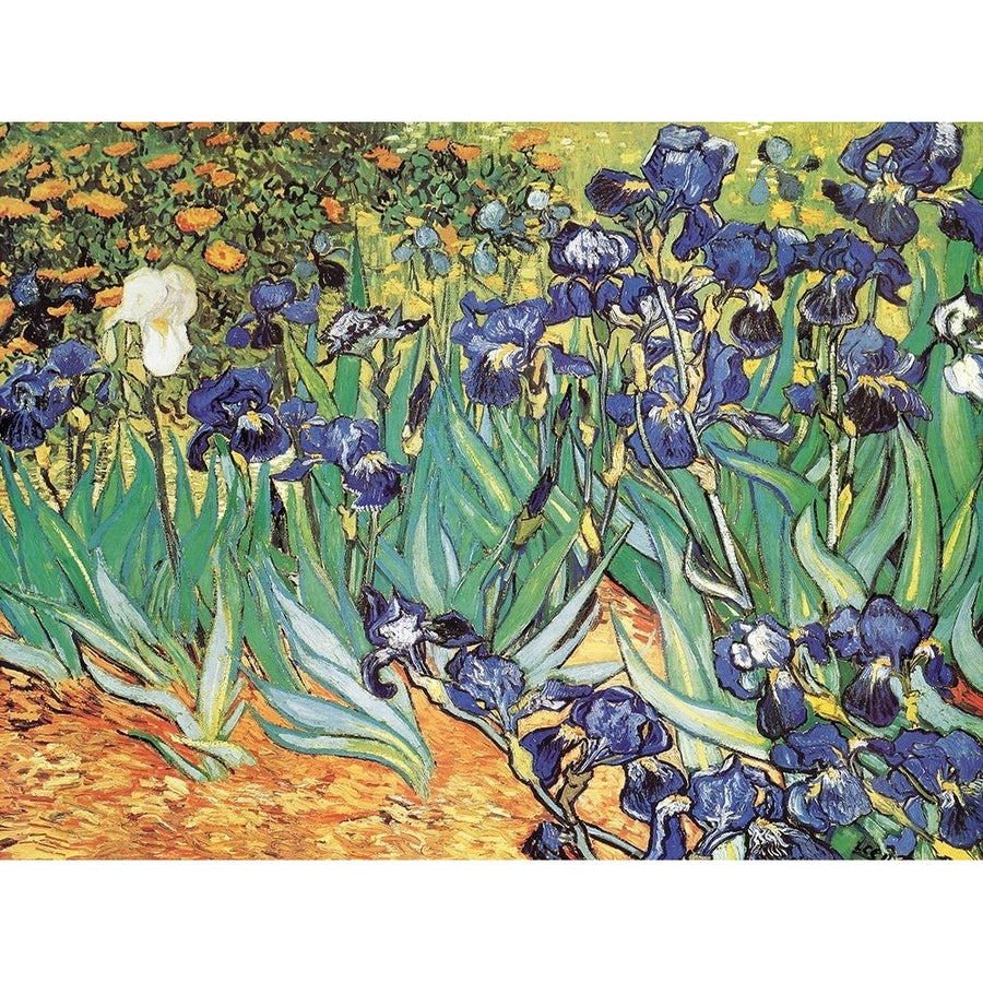 Van Gogh-Iris Garden Poster Print - Collection Masters-VARPDXMASCOL262707 Image 1